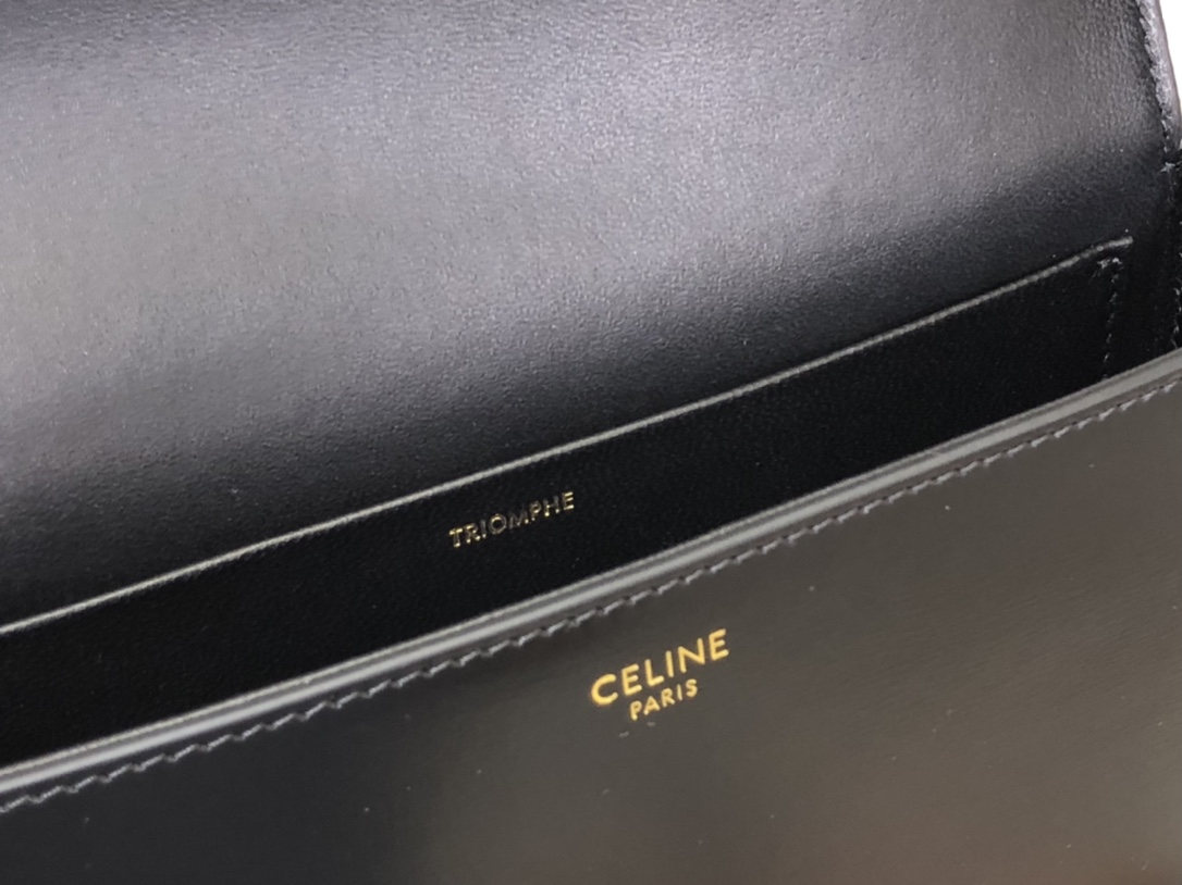 Celine Triomphe Bags